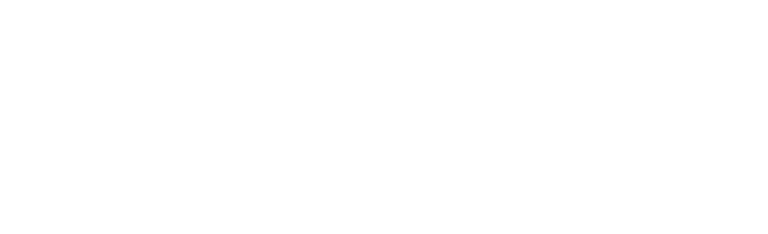 Novus Realty